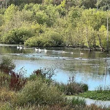 Lejlighed Ferienhaus Gluecksburg *