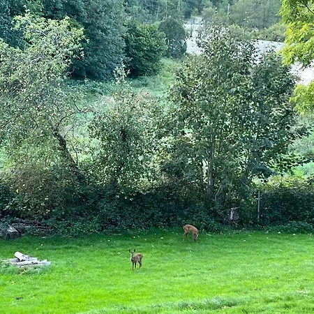 Ferienhaus Gluecksburg Lejlighed Lyksborg